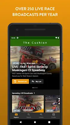 The Cushion screenshot 2