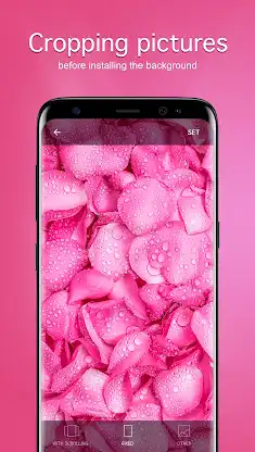Pink Wallpapers 4K screenshot 3