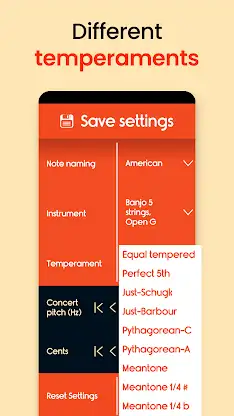 Master Banjo Tuner screenshot 6