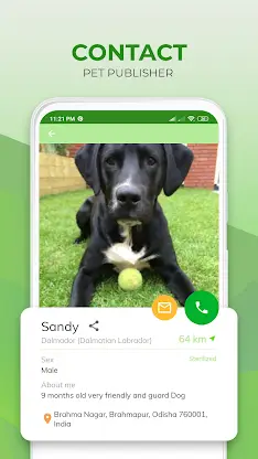 Adopt Pet or Post for Adoption screenshot 2