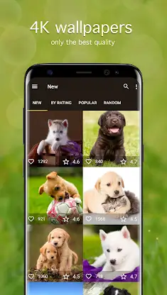 Puppy Wallpapers 4K screenshot 1