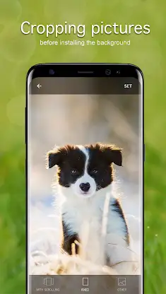 Puppy Wallpapers 4K screenshot 3