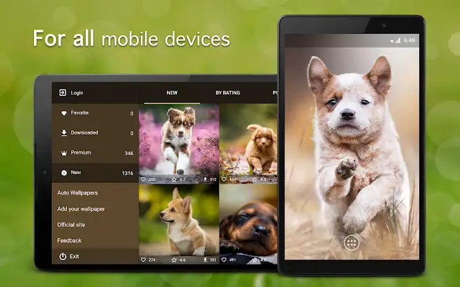 Puppy Wallpapers 4K screenshot 5