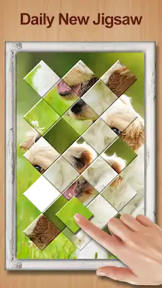 Shape Sort - jigsaw puzzle screenshot 5