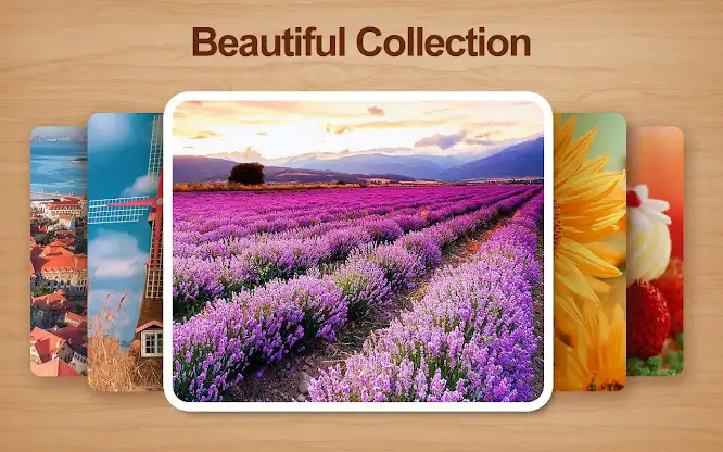Shape Sort - jigsaw puzzle screenshot 11