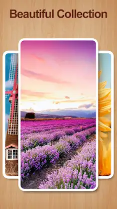Shape Sort - jigsaw puzzle screenshot 7