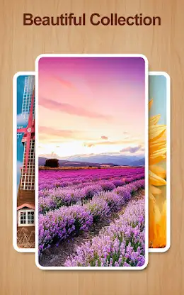 Shape Sort - jigsaw puzzle screenshot 15