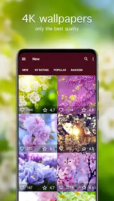 Spring Wallpapers 4K screenshot 2