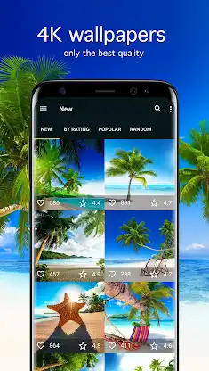 Tropical Wallpapers 4K screenshot 1