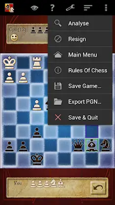 Chess screenshot 7