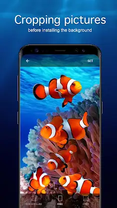 Underwater Wallpapers 4K screenshot 4