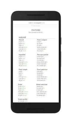 French Conjugation screenshot 2