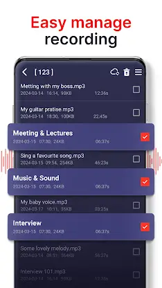 voice recorder screenshot 2
