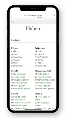 German conjugation screenshot 3